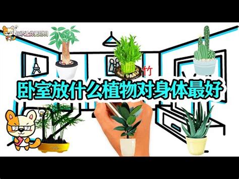 房間放刀劍|房間放刀劍會帶來什麼變化？